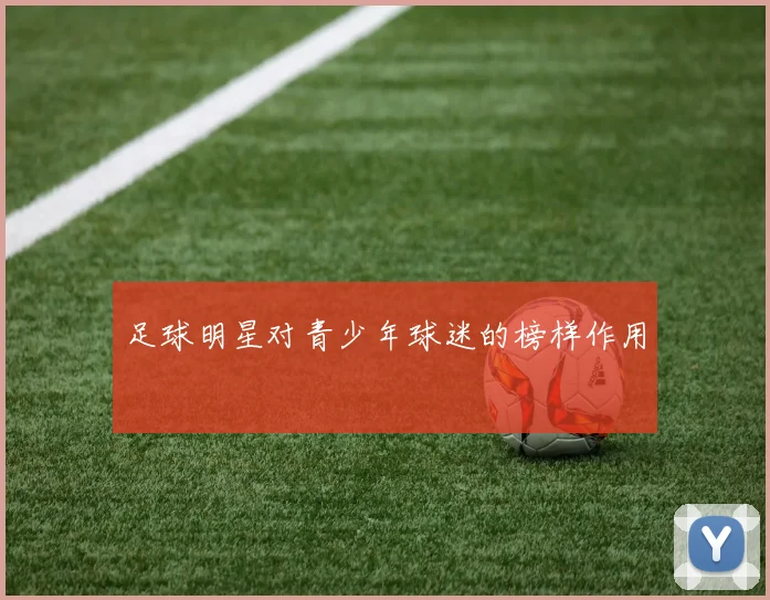 足球明星对青少年球迷的榜样作用